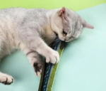 Plyšová ryba šustící 43 cm - Obrázek 3