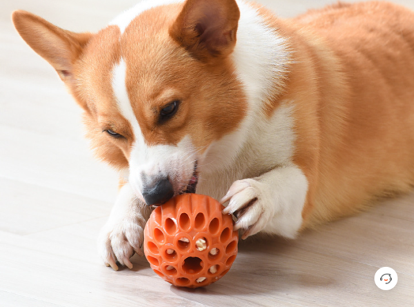 Gumový míček na pamlsky 9cm - Obrázek 4