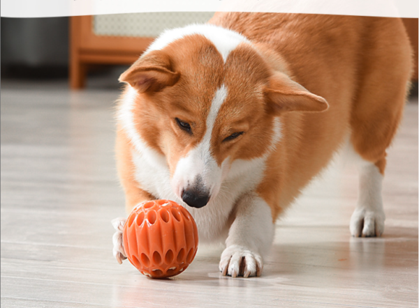 Gumový míček na pamlsky 9cm - Obrázek 5