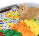 Čmuchací kobereček pro pejsky 70x70 cm - Obrázek 6