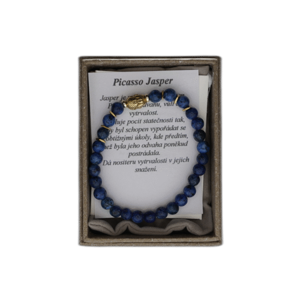 Picasso Jasper náramek z nerezové oceli s pytlíčkem - Obrázek 1
